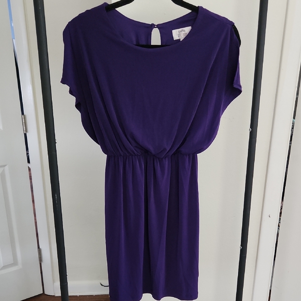 Elegant Purple Dress